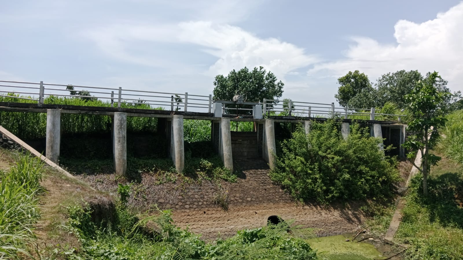 Pekerjaan Studi Peningkatan Jaringan Irigasi hilir sungai Tanggul